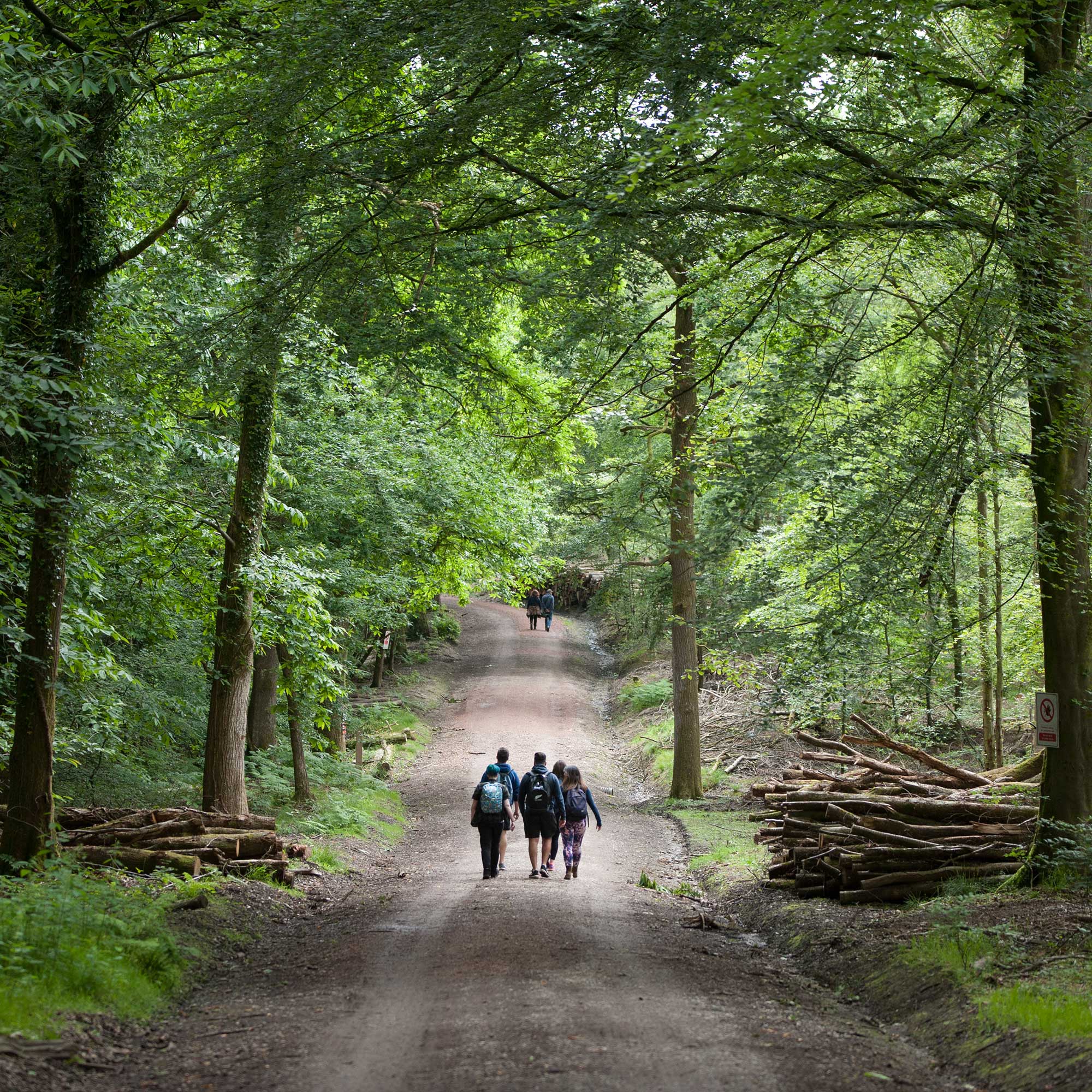 People walking through the forest of dean